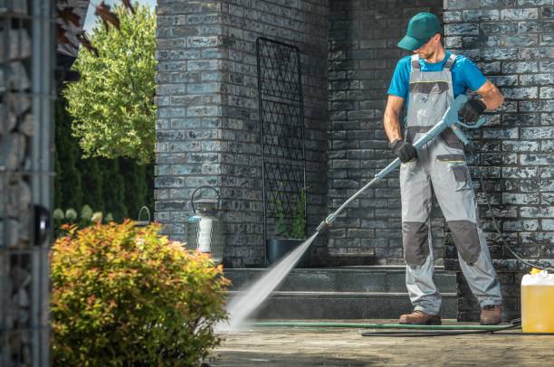 Best Roof Cleaning and Mildew Removal in Valparaiso, IN